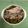 諭梨奈's cooksnap of when they made お惣菜焼き秋刀魚のアレンジ丼弁当.