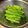 ゆかりんご117♪'s cooksnap of when they made 水コップ1杯 アスパラの完璧な茹で方.
