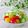Satoco❋'s cooksnap of when they made ピーマン入り千切り野菜のグリーンサラダ.