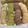 クックEOG45L☆'s cooksnap of when they made 大量生産☆4種のアイスボックスクッキー.