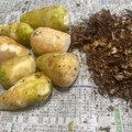 トコタン's cooksnap of when they made 是非やってみてほしいの。【里芋の保存】.