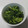 クックパパット's cooksnap of when they made 大根の葉の漬物〜野沢菜漬け風〜.