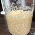 こめっこ's cooksnap of when they made 絶対おすすめ☆新玉ねぎで玉ねぎ麹の作り方.