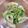 k_a_sa0802's cooksnap of when they made レンジで1分♪豆苗とちくわのマヨポンあえ.
