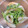 k_a_sa0802's cooksnap of when they made レンジで1分♪豆苗とちくわのマヨポンあえ.