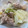 ぬこひめゆき's cooksnap of when they made 鶏もも肉と白菜のにんにく黒胡椒蒸し.