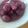 クック4ISD0M☆'s cooksnap of when they made ☆ぶどうのコンポート☆.