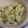 鹿部さっちゃんクック's cooksnap of when they made にんにくの芽 下茹でが美味しい^^.