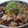 ルッチ's cooksnap of when they made 煮るだけ簡単 家庭の味☆茄子と豚肉の煮物.