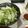 ミレーちゃん's cooksnap of when they made 大根と水菜のシャキシャキ梅サラダ.