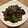 pali's cooksnap of when they made ビーツの葉と茎の食べ方♪バター炒め.