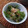ふか谷's cooksnap of when they made *簡単すぐ作れる♪ピーマンのおかか和え*.