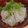 ゆるмαмα's cooksnap of when they made 魅惑のベトナム料理★簡単本格★フォー.