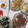 きらり流れ星's cooksnap of when they made ごぼうとひき肉の味噌炒め.
