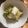 dollyj's cooksnap of when they made 塩もみ白菜の柚子胡麻和え.