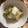 dollyj's cooksnap of when they made 塩もみ白菜の柚子胡麻和え.