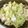 のんこ's cooksnap of when they made 白だしでキャベツ大量消費の浅漬風サラダ.