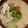 ☆ごはんできた☆'s cooksnap of when they made 豚汁.
