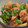 saki1010's cooksnap of when they made お弁当にも❤鶏皮と大根の煮物❤.