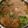 Sun Flover's cooksnap of when they made 鶏肉とじゃがいもと 根菜と厚揚げの煮物.