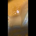 よね's cooksnap of when they made レンジで簡単！余った卵黄1個で濃厚プリン.