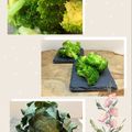 horseland's cooksnap of when they made ブロッコリーの美味しい茹で方.