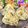 岡山県料理サークルちゃお〜's cooksnap of when they made 簡単✨かつお節て絶品🐟😋高菜の油炒め🥬.