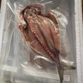 はぎ♪'s cooksnap of when they made アジの干物の作り方～釣り人編～.