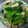 スナズリ's cooksnap of when they made 簡単！小松菜としめじの洋風バターソテー.