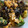 クックJ5DXNZ☆'s cooksnap of when they made 生きくらげと卵の中華炒め.