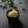 まろんかふぇ's cooksnap of when they made うまっ!☆キャベツと梨のサラダ☆.