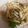 クックHDP0M2☆'s cooksnap of when they made 残ったイカそうめんをバター醤油でアレンジ.