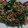 クックGQ57RU☆'s cooksnap of when they made 大根菜と豚肉のオイスター炒め.