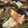 クックK7PJC3☆'s cooksnap of when they made ししとうとナスの白だし生姜煮浸し.