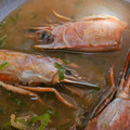 クックD1LOED☆'s cooksnap of when they made 海老の殻で磯の旨味ぎっしり出汁のお味噌汁.
