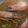 クックD1LOED☆'s cooksnap of when they made 海老の殻で磯の旨味ぎっしり出汁のお味噌汁.