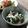 あず7225's cooksnap of when they made お豆＆わかめ＆シャキシャキ大根和風サラダ.