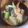 ふか谷's cooksnap of when they made ☆鮭と大根の味噌汁☆.