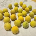 ゆかりんご117♪'s cooksnap of when they made 梅干しを柔らかく仕上げるための梅の追熟.