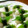 u_mi_n's cooksnap of when they made 蕪のにぎり寿司.