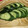 fuzi's cooksnap of when they made きゅうりの漬け物.
