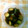 ゆっきー0130's cooksnap of when they made 簡単＊きゅうりの中華風つけもの.