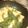 こうきこのかママ's cooksnap of when they made 厚揚げといんげんの煮物.