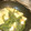こうきこのかママ's cooksnap of when they made 厚揚げといんげんの煮物.