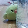 ラブザロード's cooksnap of when they made 熱中症対策に☆はちみつレモン.