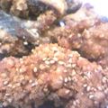 ミルクボール's cooksnap of when they made 鯖のごま竜田揚げ.