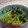 腹ペコ助's cooksnap of when they made もやしとわかめの出ししょう油和え.
