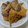 ＊＊パピコ＊＊'s cooksnap of when they made 鶏肉とたけのこの煮物.