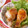 tuik75's cooksnap of when they made ほろほろ★骨付き鶏の甘辛煮.
