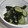 きらり流れ星's cooksnap of when they made キュウリとワカメの酢の物.